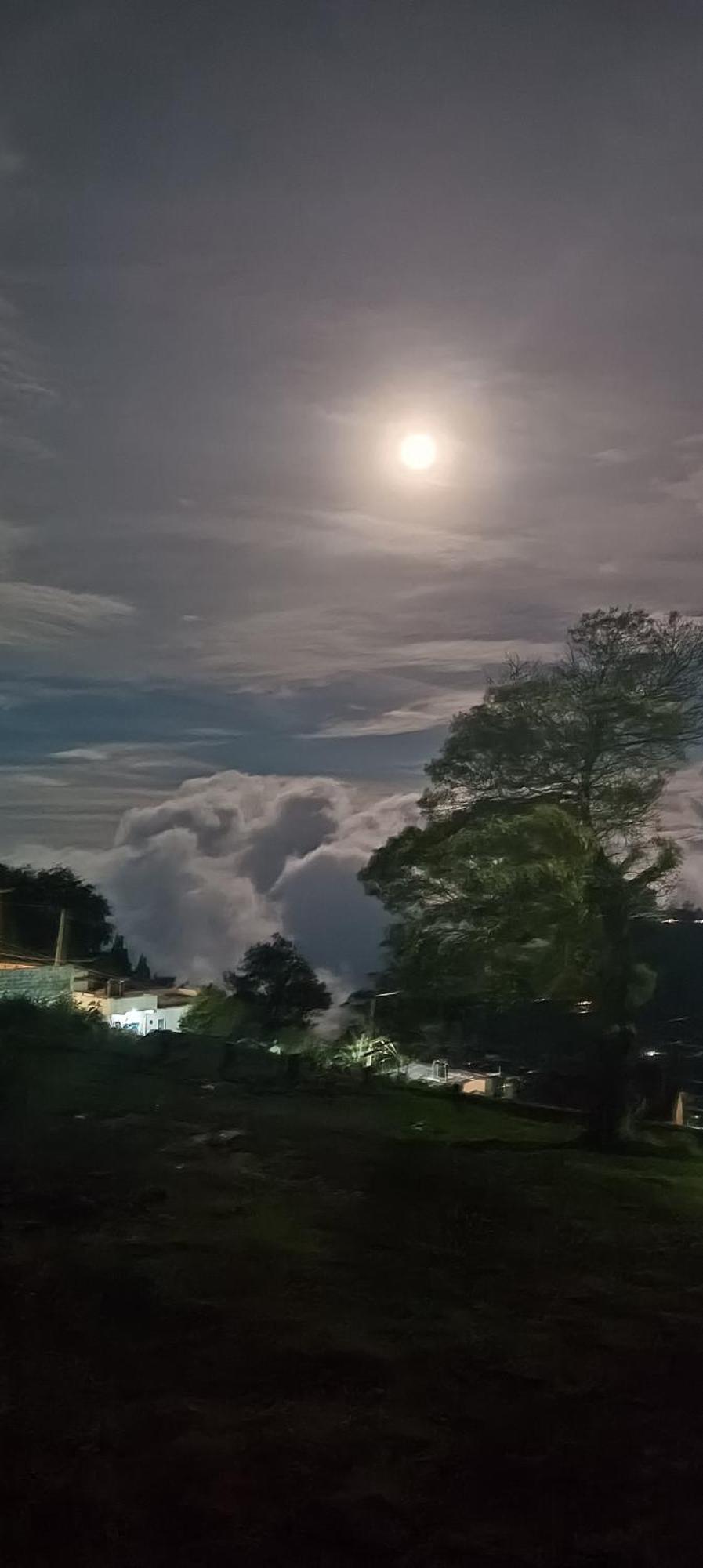 Close2Heaven Homestay 3 Bedroom Villa コダイカナル エクステリア 写真